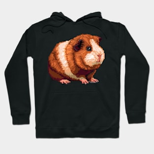 Pixelated Guinea Pig Artistry Hoodie